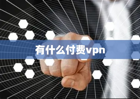 有什么付费vpn 有什么付费vpn